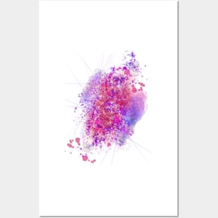 Colors Splash Nebula Posters and Art